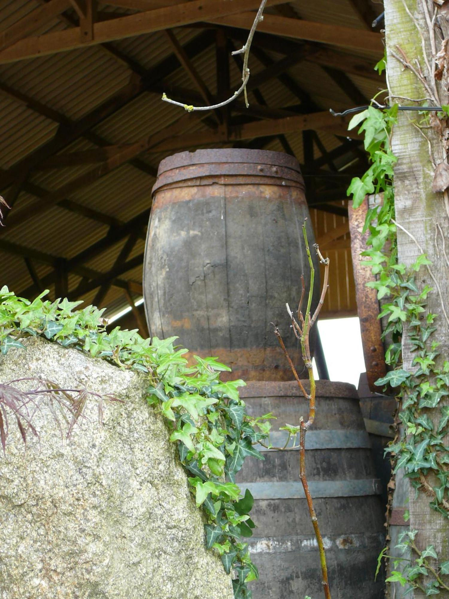 La Ferme De Kerhors Hotel Tremeoc ภายนอก รูปภาพ