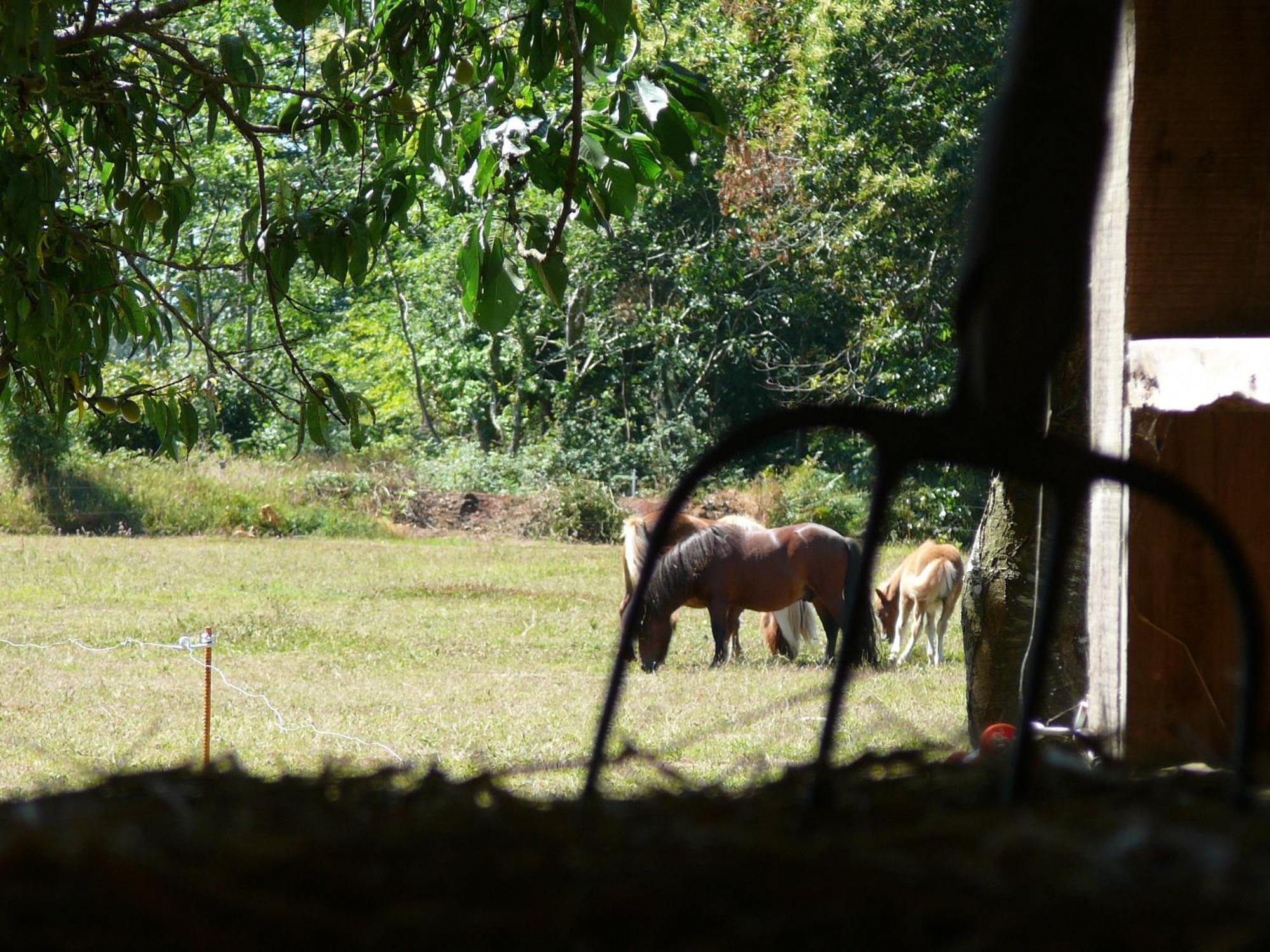 La Ferme De Kerhors Hotel Tremeoc ภายนอก รูปภาพ