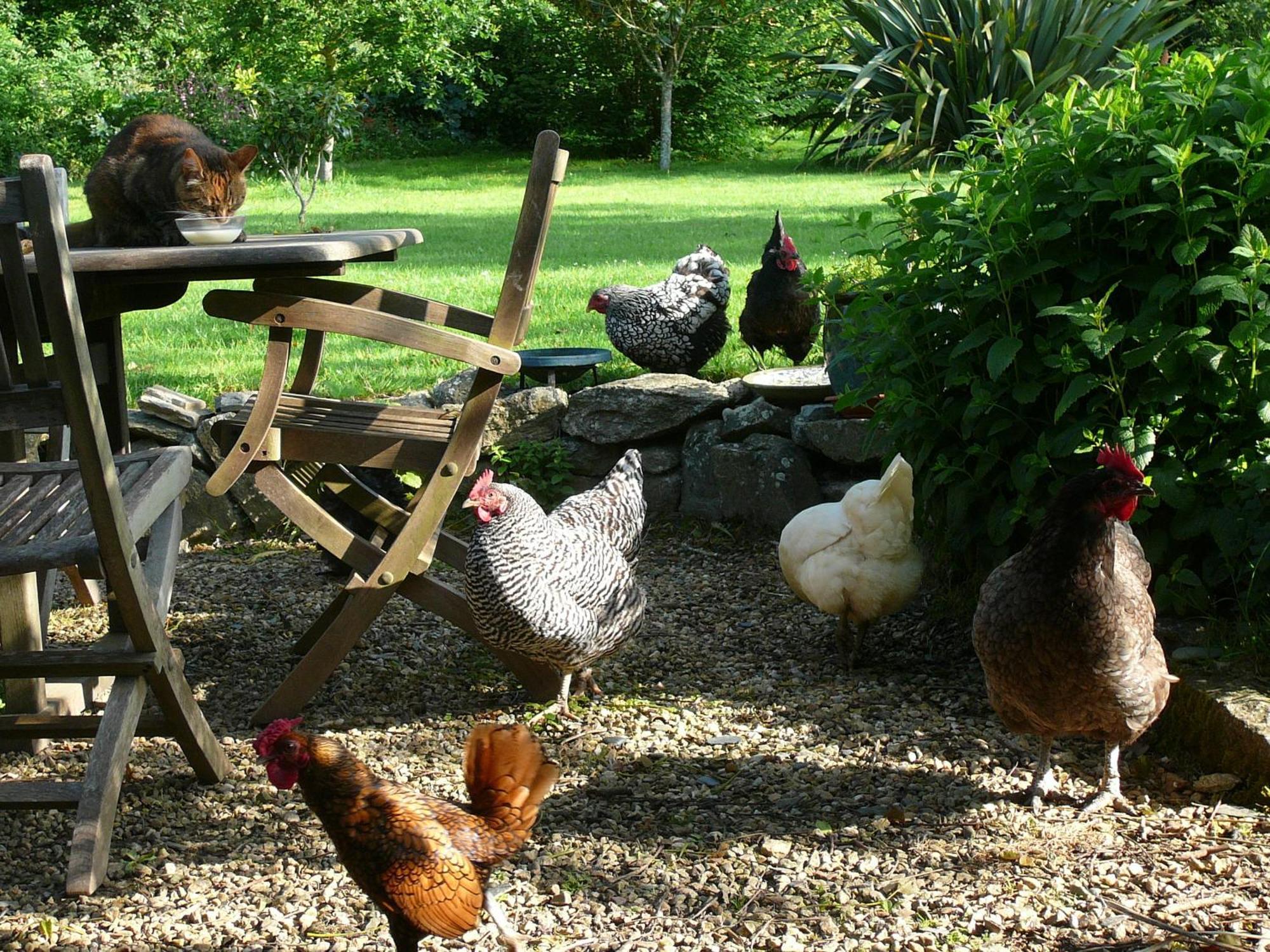 La Ferme De Kerhors Hotel Tremeoc ภายนอก รูปภาพ