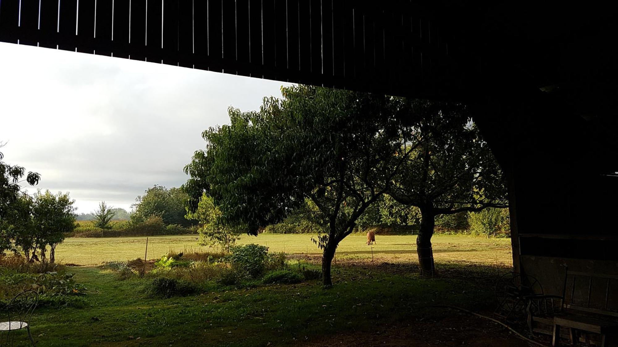 La Ferme De Kerhors Hotel Tremeoc ภายนอก รูปภาพ